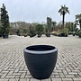 Luxury vase plantenbak Noah zwart 75 cm