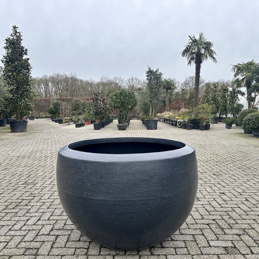Luxury bowl plantenbak Erik zwart