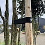 Set van 2 boompalen + boomband