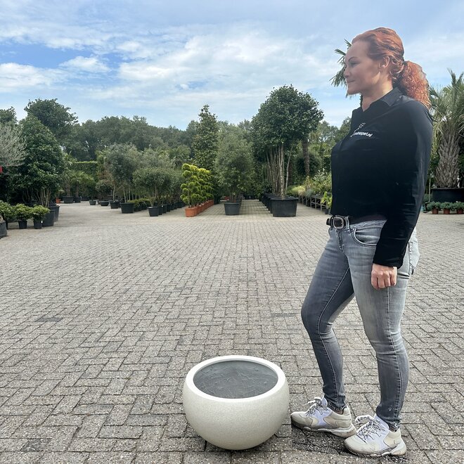 Grigio Elena (Luca Lifestyle) - 50cm