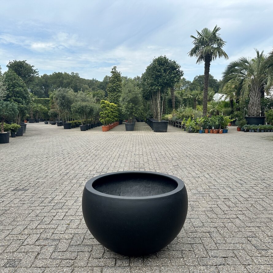 Plantenbak Grigio Elena Anthracite (Luca Lifestyle)