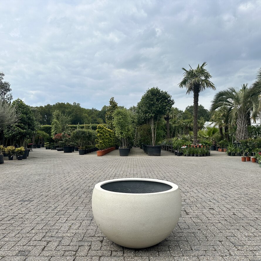 Plantenbak Grigio Elena Antique White (Luca Lifestyle)