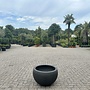 Terreno Elena Earth (Luca Lifestyle) - 70 cm
