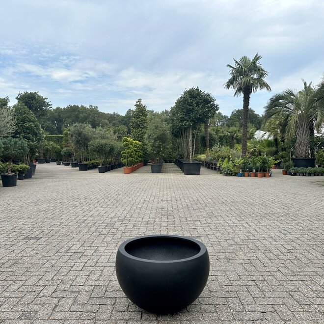 Grigio Elena Anthracite (Luca Lifestyle) - 70 cm