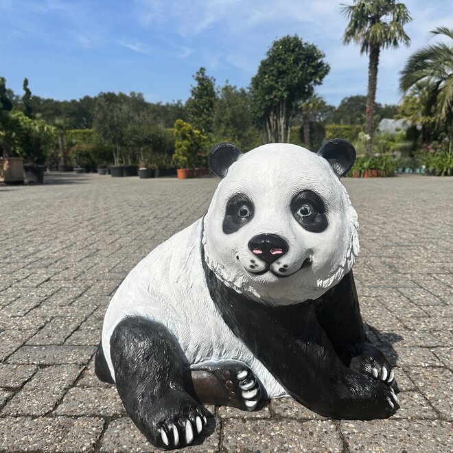 Panda zittend