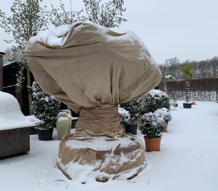 Winter- en vorstbescherming