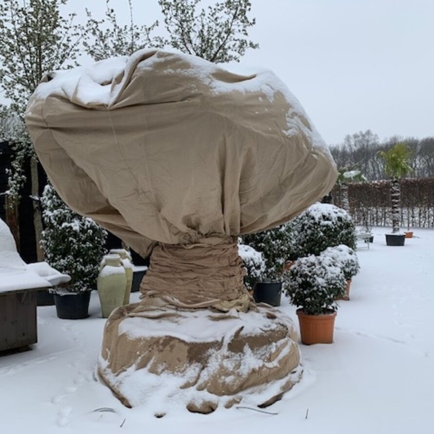 Winter- en vorstbescherming