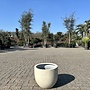 Grigio New Egg Antique White (Luca Lifestyle) - 45 cm
