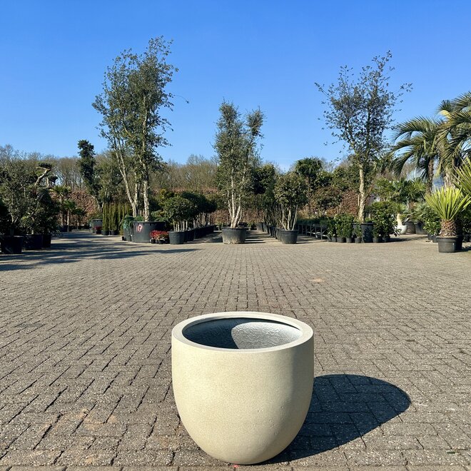 Grigio New Egg Antique White (Luca Lifestyle) - 55 cm