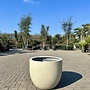 Grigio New Egg Antique White (Luca Lifestyle) - 80 cm