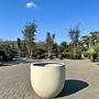 Grigio New Egg Antique White (Luca Lifestyle) - 94 cm