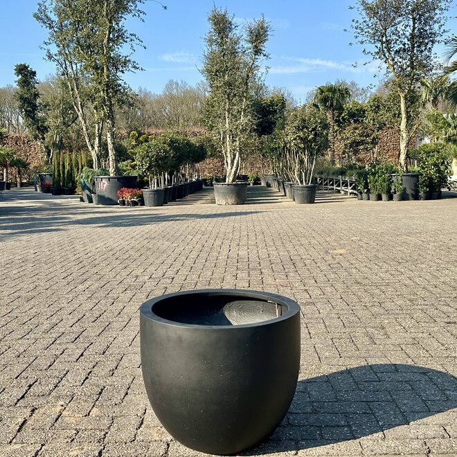 Grigio New Egg Anthracite (Luca Lifestyle) - 55 cm