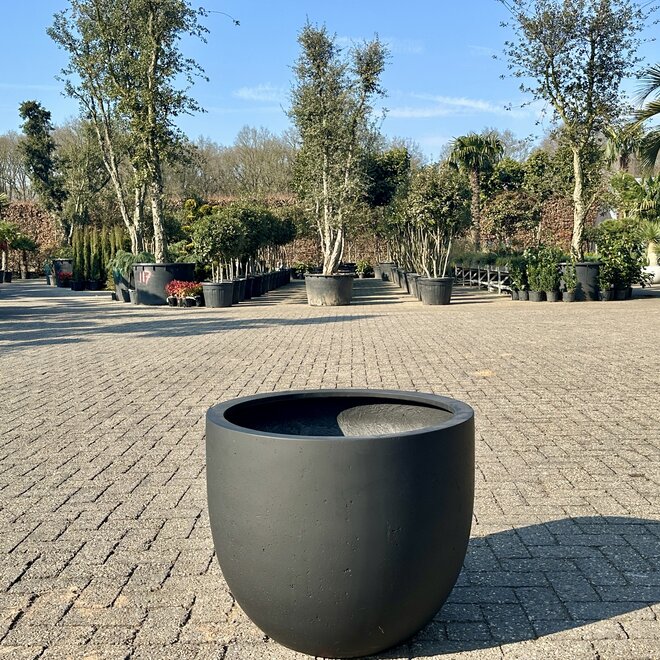 Grigio New Egg Anthracite (Luca Lifestyle) - 65 cm