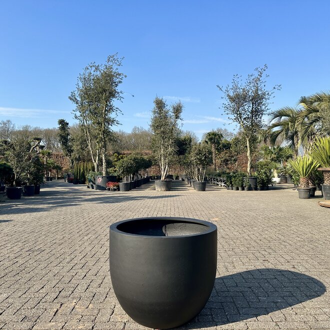 Grigio New Egg Anthracite (Luca Lifestyle) - 80 cm