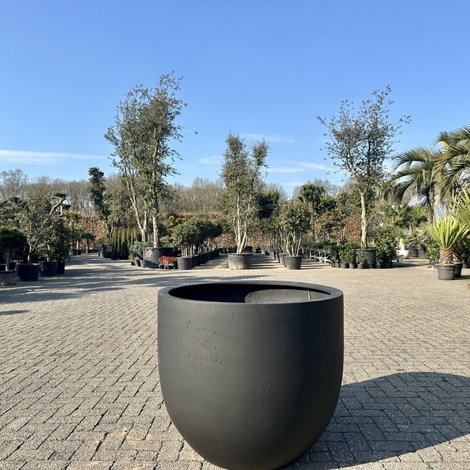 Grigio New Egg Anthracite (Luca Lifestyle) - 94 cm