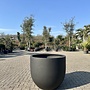 Grigio New Egg Anthracite (Luca Lifestyle) - 94 cm