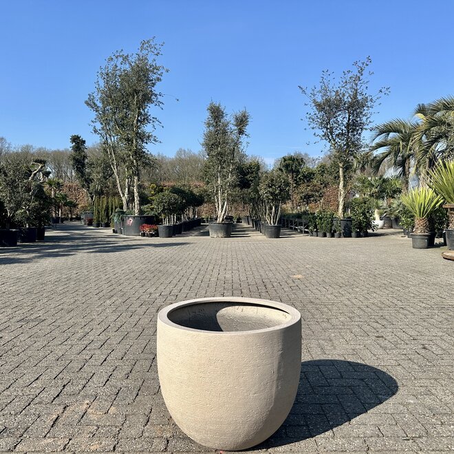 Plantenbak New Egg Valencia 65 cm