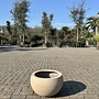 Terreno Elena (Luca Lifestyle) - 50 cm