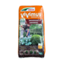 Vivimus aanplantgrond
