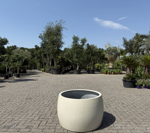 Plantenbak Toledo