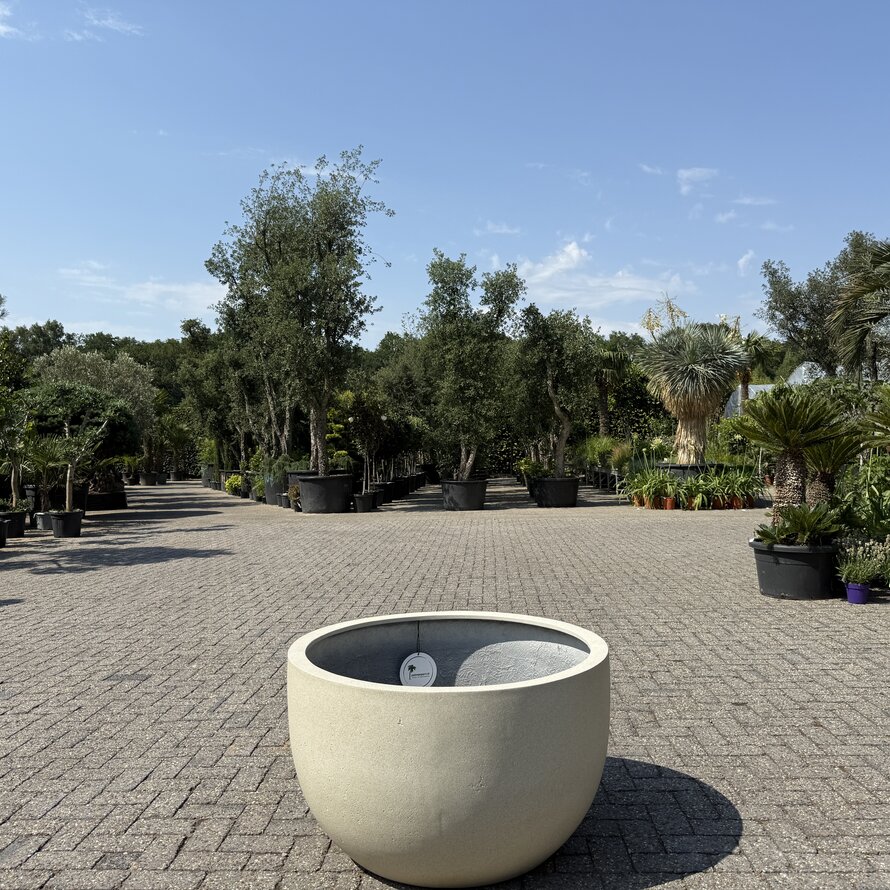 Plantenbak Grigio New Egg Low Antique White (Luca Lifestyle)