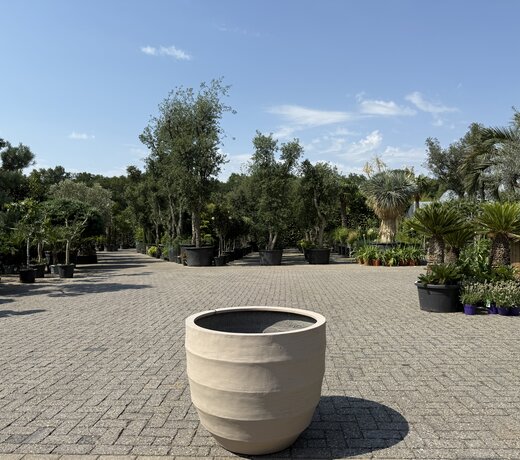 Plantenbak Granada