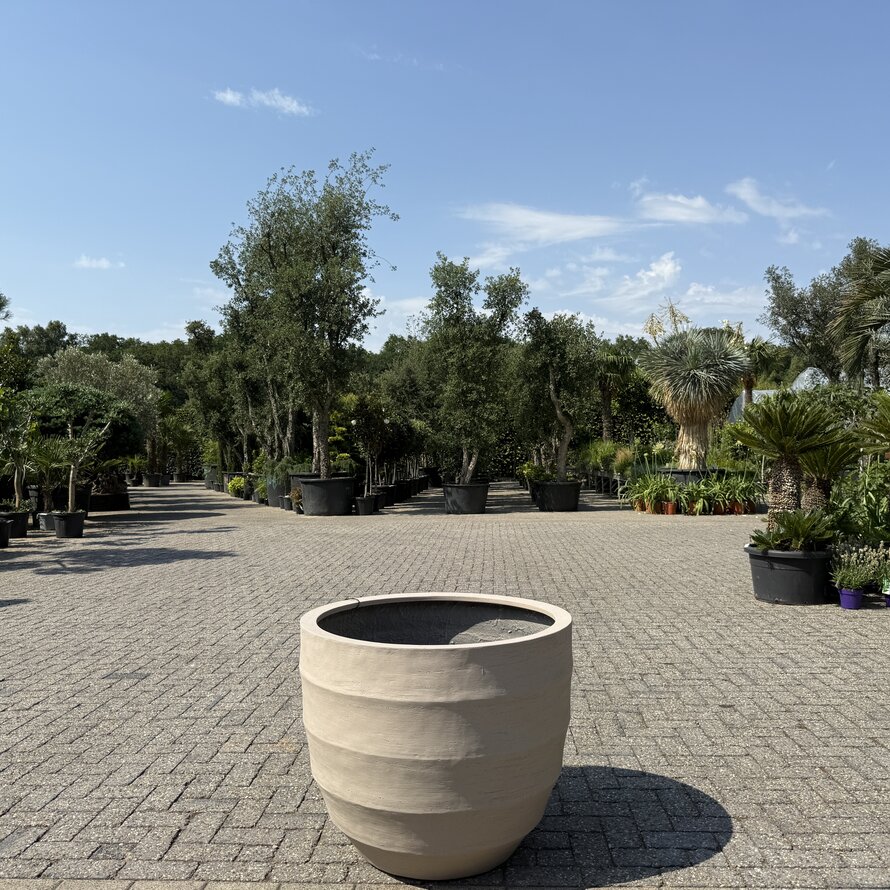 Plantenbak Granada