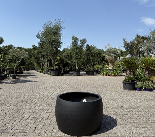 Plantenbak Modern Bowl Palma