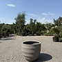 Bordo New Egg Clay (Luca Lifestyle) - 80 cm