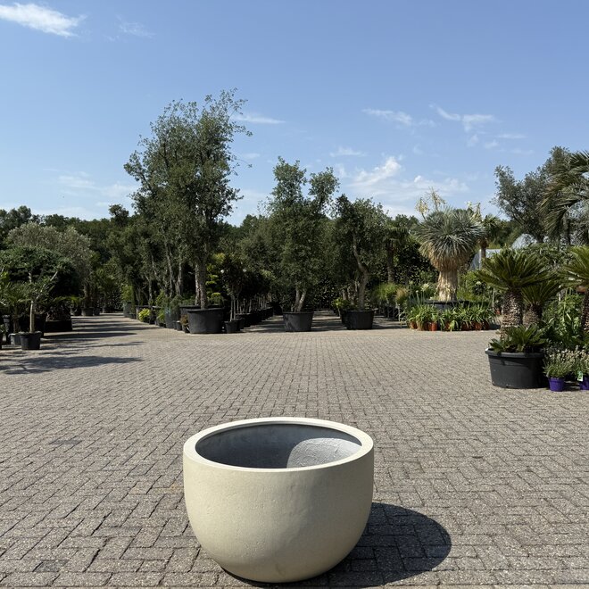 Plantenbak New Egg Low Cordoba 80 cm