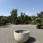 Grigio New Egg Low Antique White (Luca Lifestyle) - 94 cm