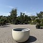 Grigio New Egg Low Antique White (Luca Lifestyle) - 110 cm