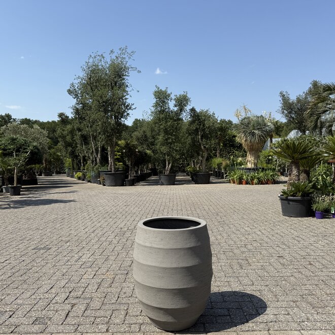 Plantenbak Bordo Tall Balloon Blanes 53 cm