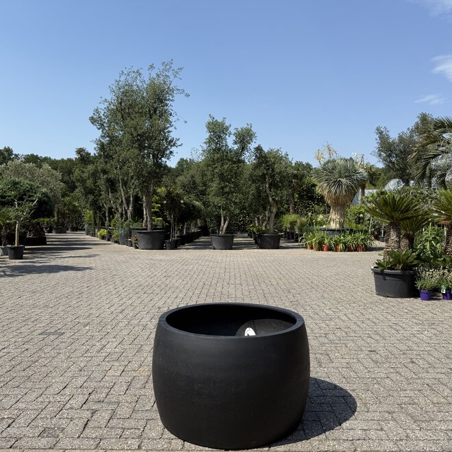 Grigio Modern Bowl Anthracite (Luca Lifestyle) - 90 cm