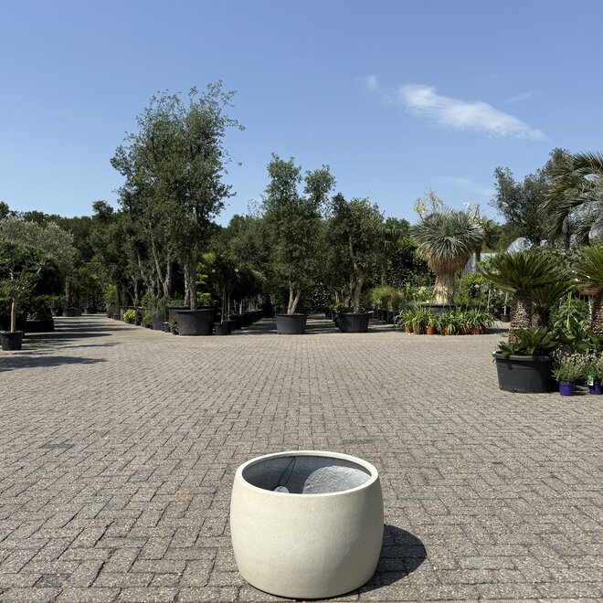 Plantenbak Modern Bowl Toledo 60 cm