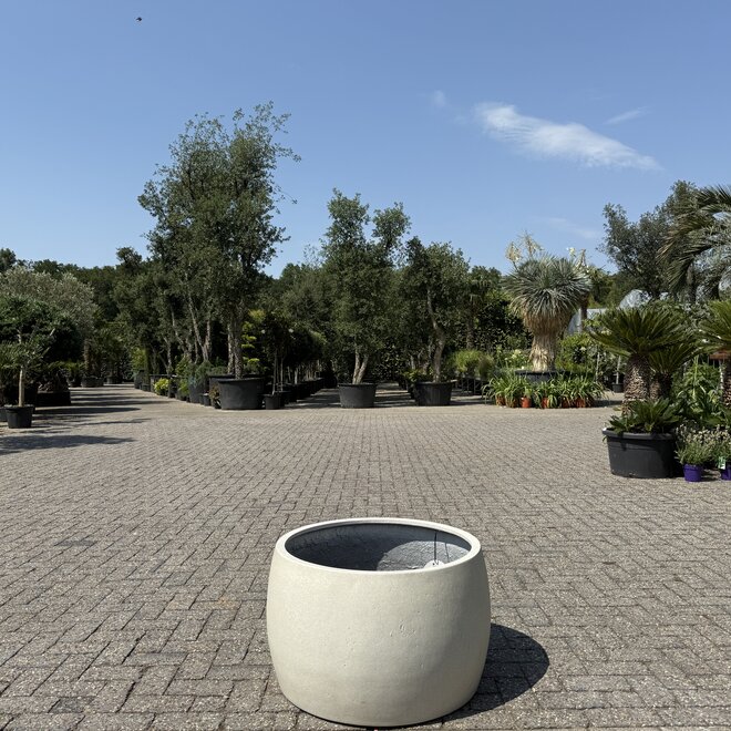Grigio Modern Bowl (Luca Lifestyle) - 74 cm