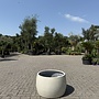 Grigio Modern Bowl (Luca Lifestyle) - 74 cm