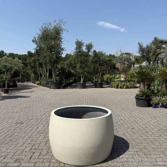 Grigio Modern Bowl (Luca Lifestyle) - 110 cm