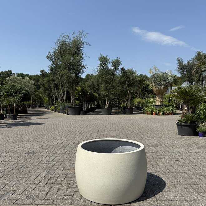 Plantenbak Modern Bowl Toledo 90 cm