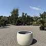 Plantenbak Modern Bowl Toledo 90 cm