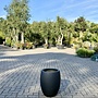 Grigio Tall Balloon (Luca Lifestyle) - 40 cm