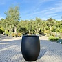 Grigio Tall Balloon (Luca Lifestyle) - 74 cm