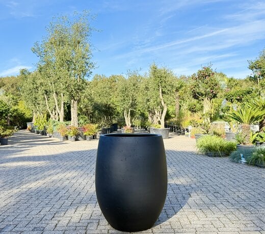 Plantenbak Tall Balloon Altea