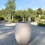 Grigio Tall Balloon (Luca Lifestyle) - 74 cm