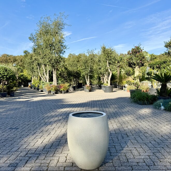 Plantenbak Nerja 55 cm