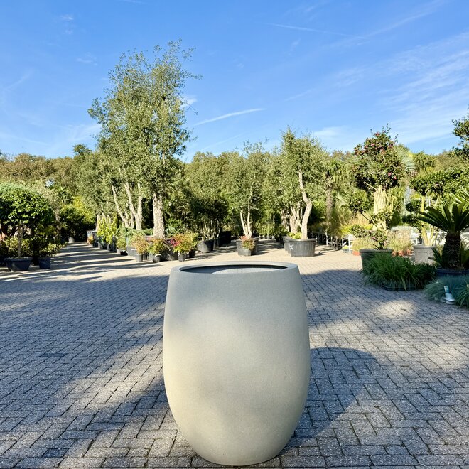 Grigio Tall Balloon (Luca Lifestyle) - 74 cm