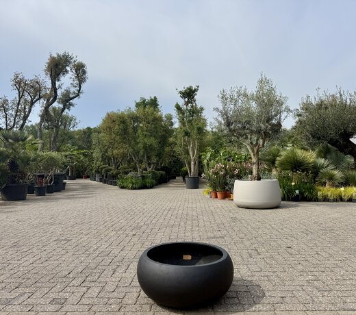 Plantenbak Grigio Low Balloon Anthracite (Luca Lifestyle)