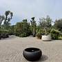 Grigio Low Balloon Anthracite (Luca Lifestyle) - 73 cm