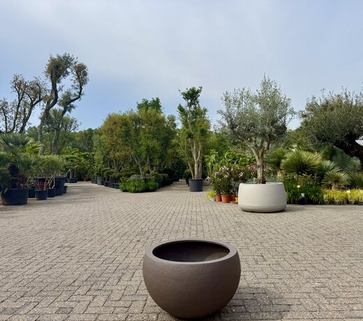 Plantenbak Terreno Elena Ash Brown (Luca Lifestyle)