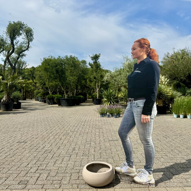 Terreno Low Balloon Sand (Luca Lifestyle) - 40 cm